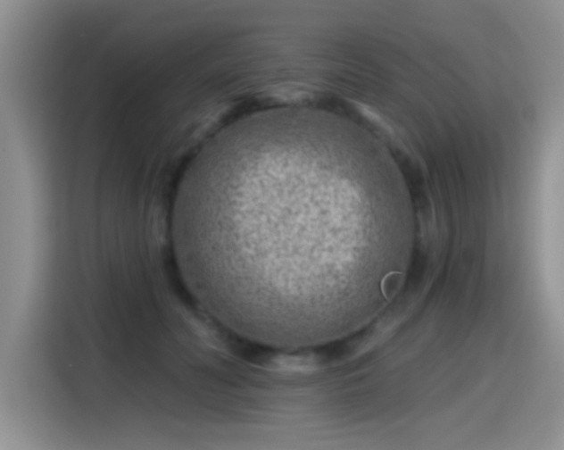 X0000115380606200911101308