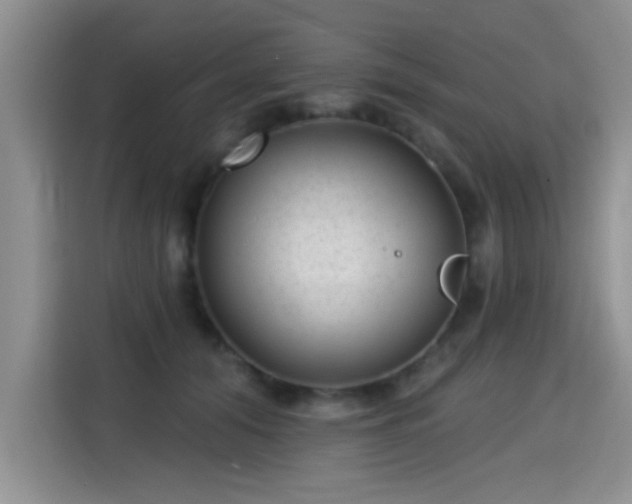 X0000115380608200911101308