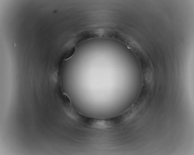 X0000115380611200911101308