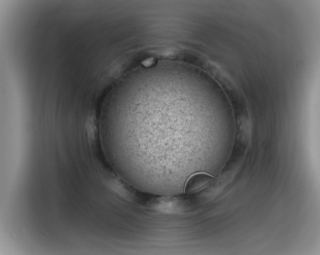 X0000115380612200911101308
