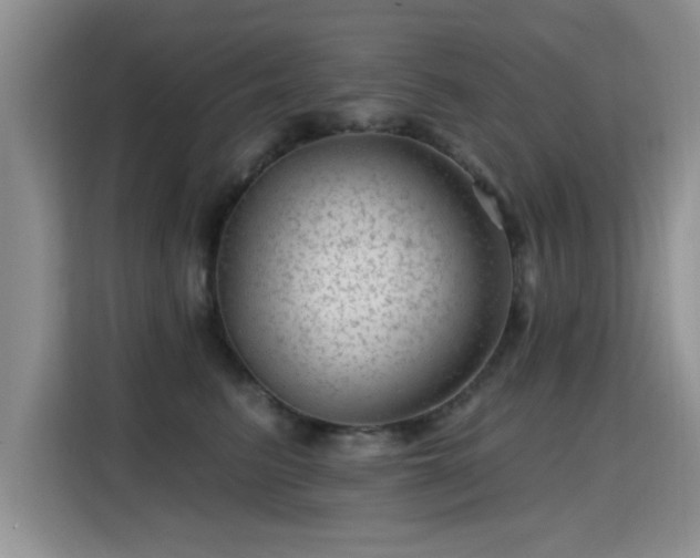 X0000115380615200911101308