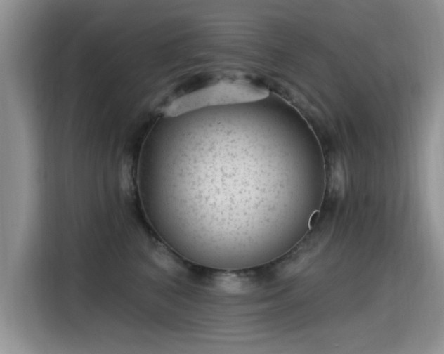X0000115380616200911101308