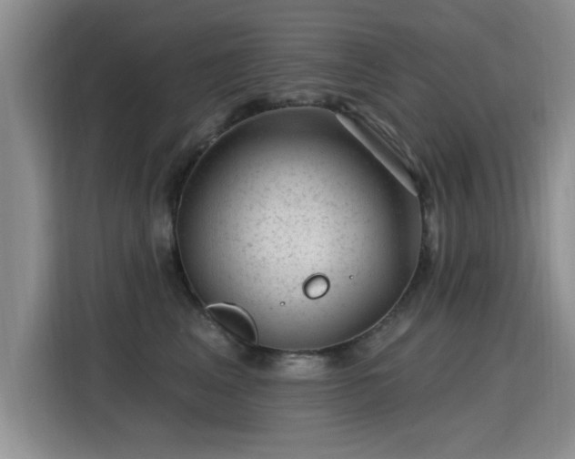 X0000115380617200911101308