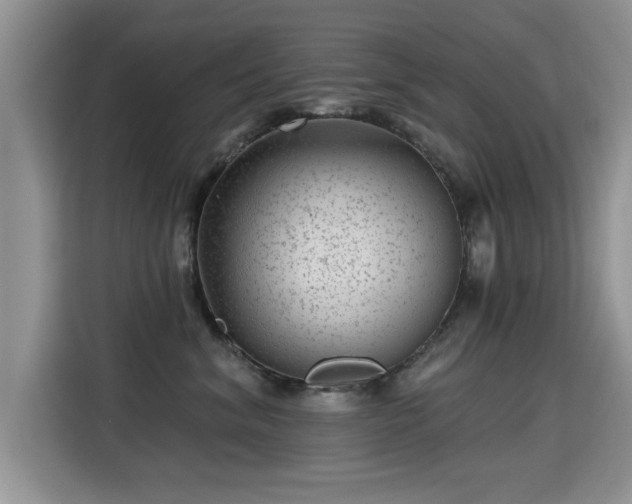 X0000115380620200911101307