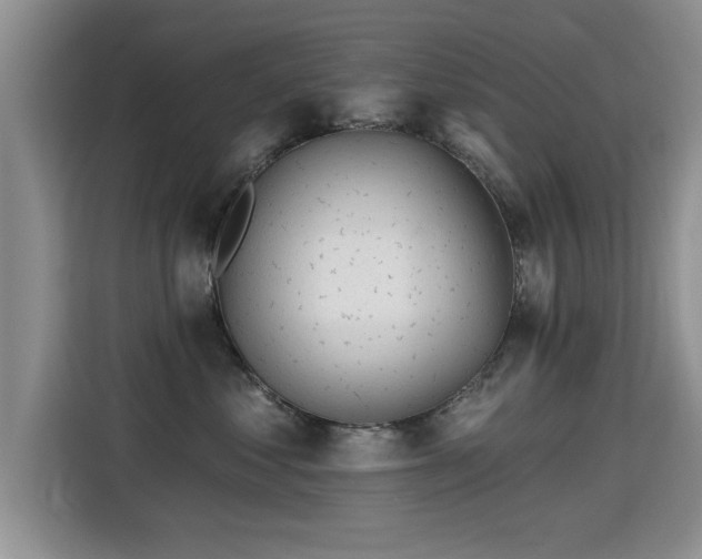 X0000115380621200911101307