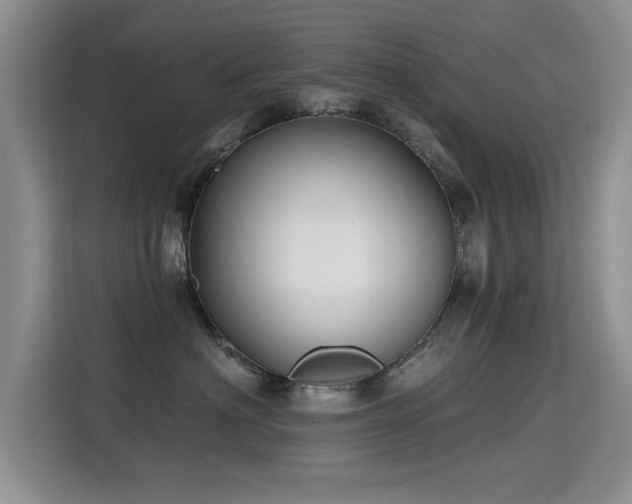 X0000115380622200911101307