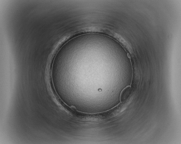 X0000115380625200911101307