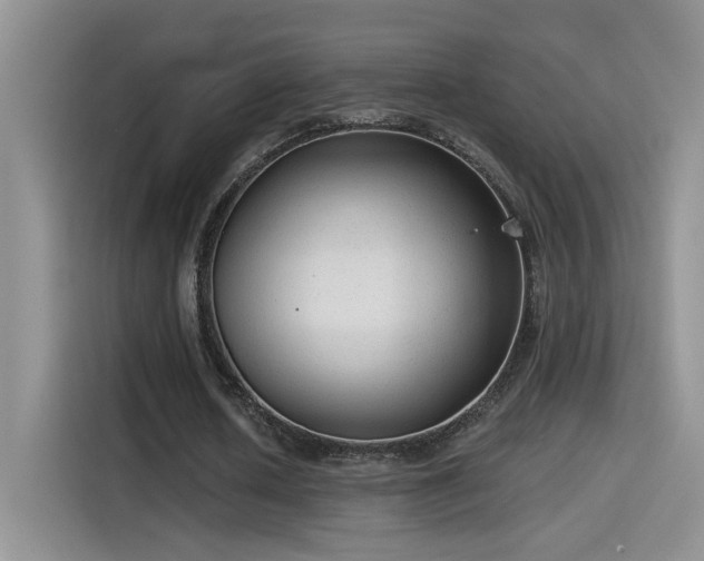 X0000115380626200911101307