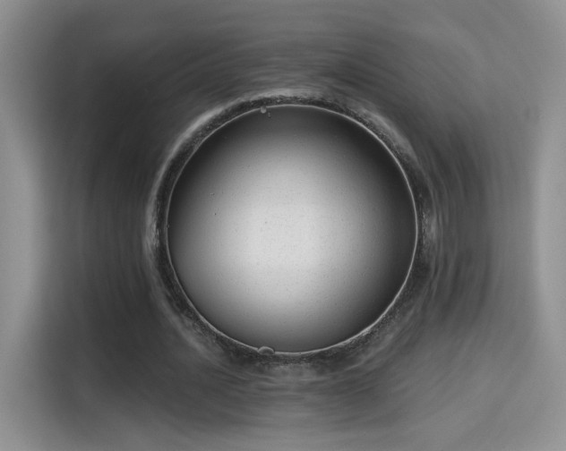 X0000115380628200911101307