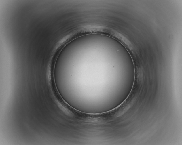 X0000115380629200911101307