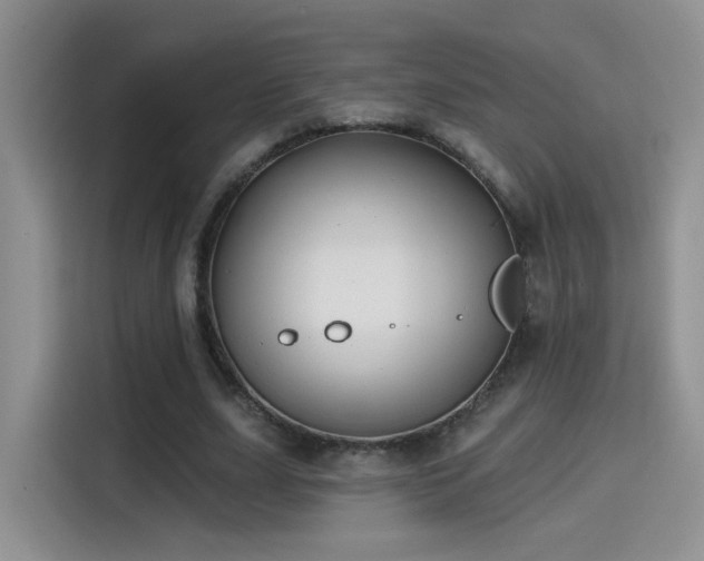 X0000115380631200911101307