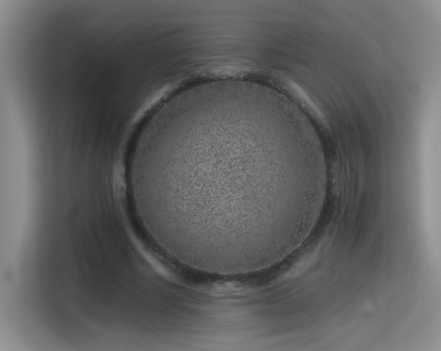 X0000115380634200911101307