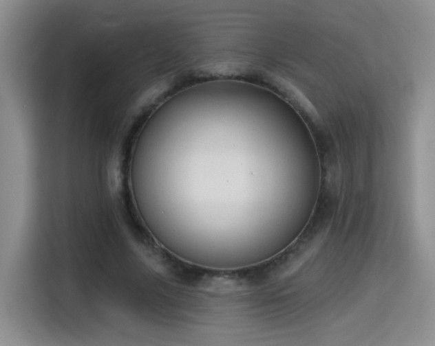 X0000115380635200911101307