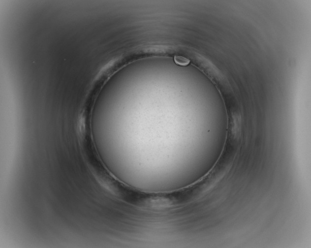 X0000115380636200911101307