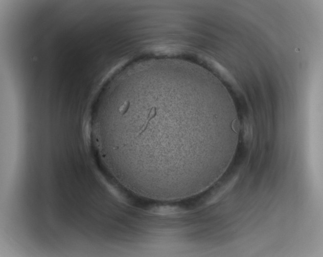 X0000115380637200911101307
