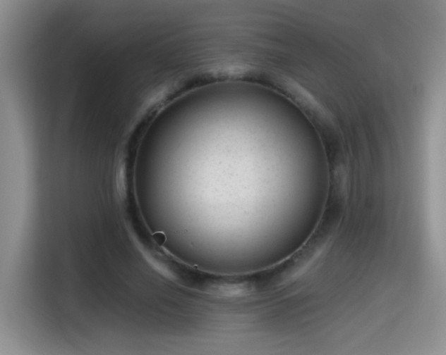 X0000115380638200911101307