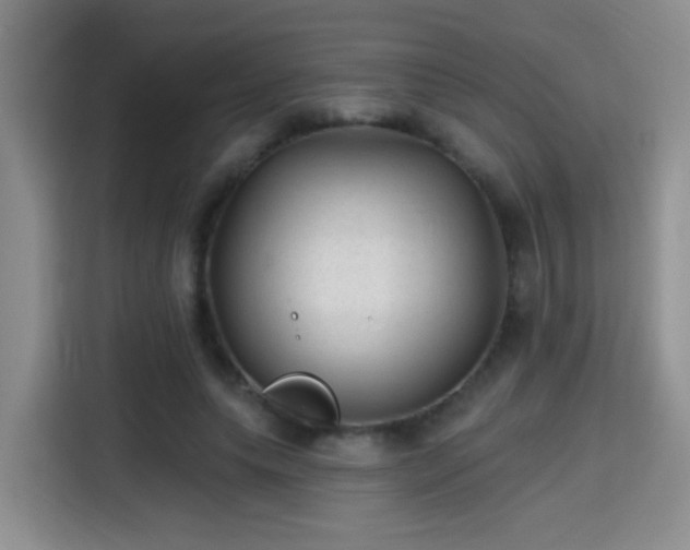 X0000115380639200911101307