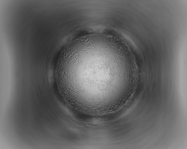 X0000115380641200911101307