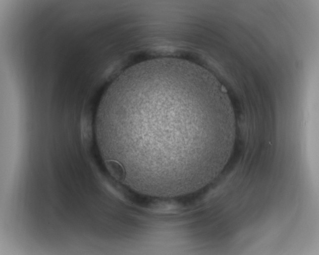 X0000115380642200911101307