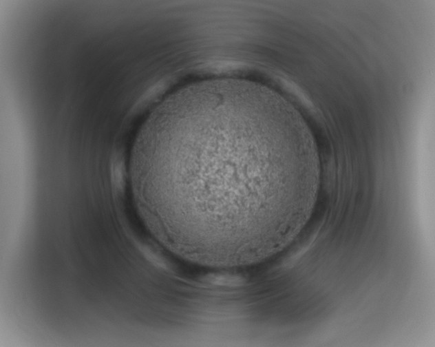 X0000115380644200911101307