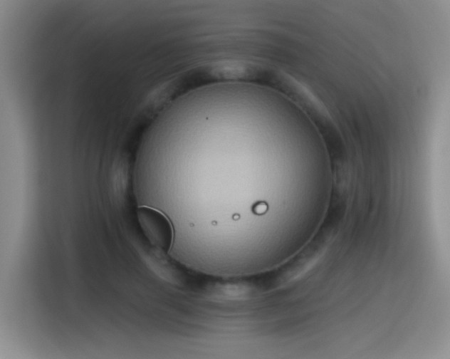 X0000115380645200911101307