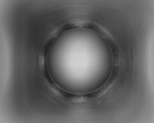 X0000115380646200911101307