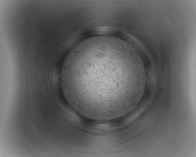 X0000115380653200911101307