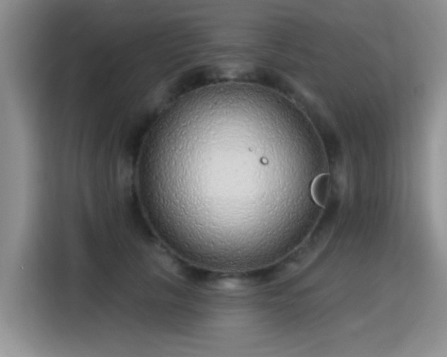 X0000115380657200911101307