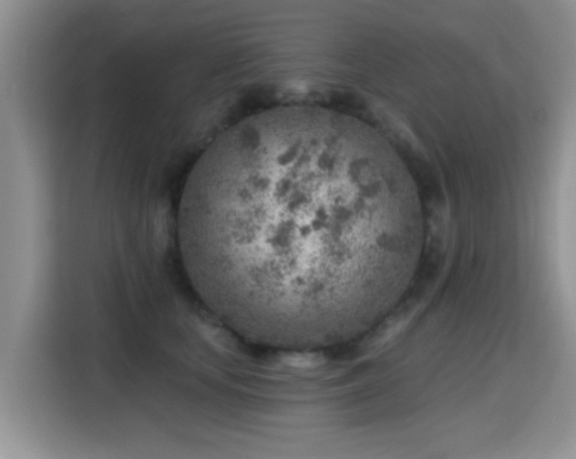 X0000115380659200911101307