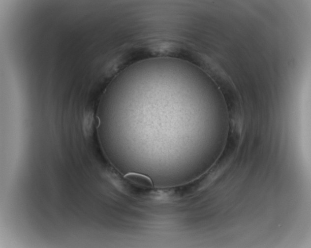 X0000115380660200911101307