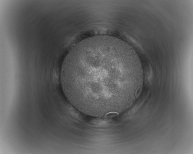 X0000115380661200911101307