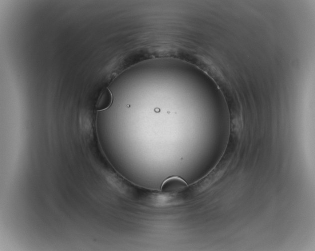 X0000115380662200911101307