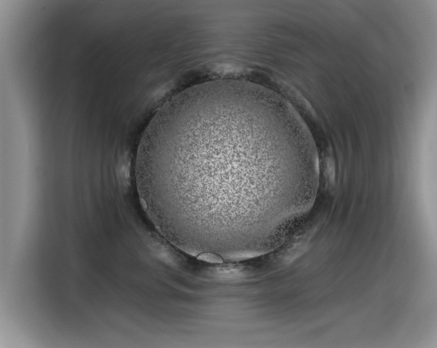 X0000115380668200911101307