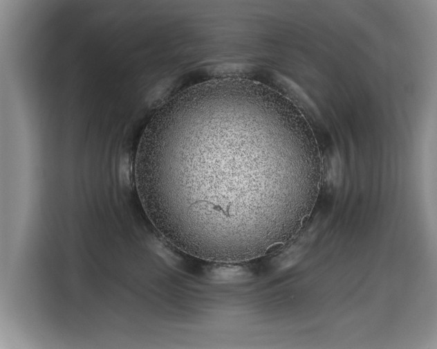 X0000115380669200911101307