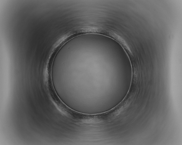 X0000115380674200911101307