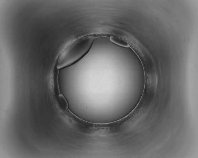 X0000115380676200911101307