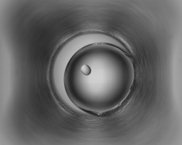 X0000115380677200911101307