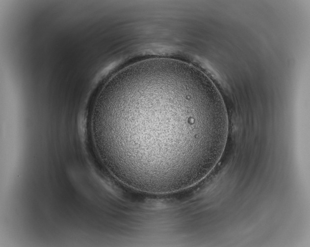 X0000115380679200911101307
