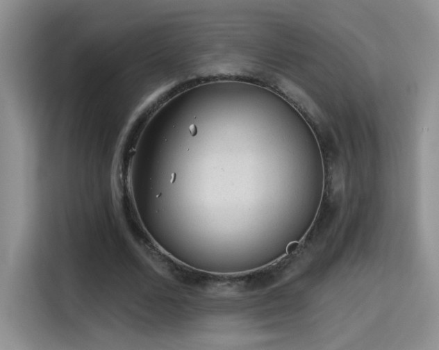 X0000115380680200911101307