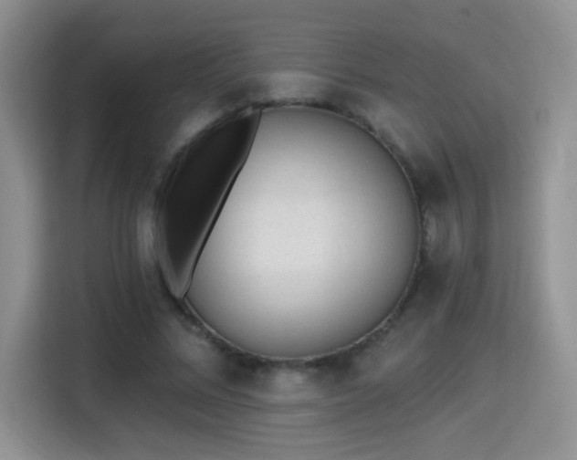 X0000115380684200911101307