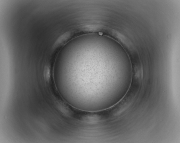 X0000115380685200911101307