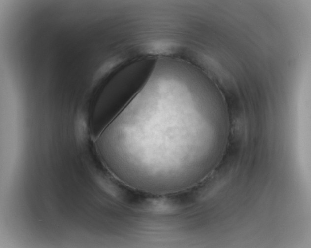 X0000115380688200911101307