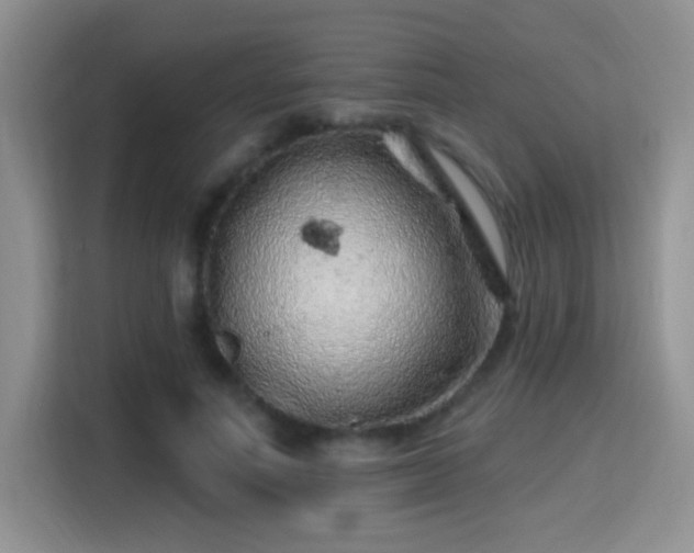X0000115380691200911101307