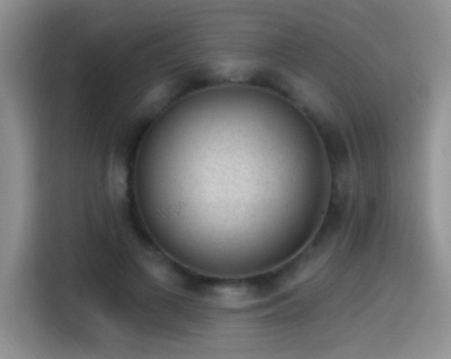 X0000115380693200911101307