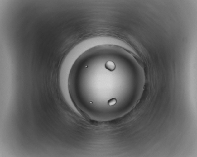X0000115380696200911101307