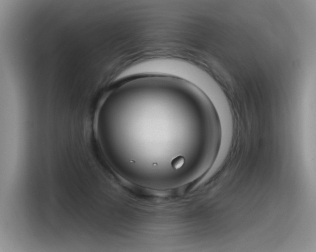 X0000115380697200911101306