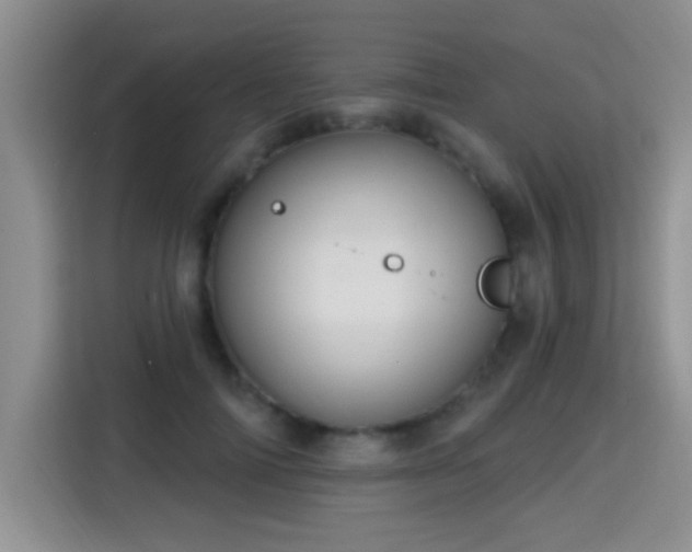 X0000115380698200911101306