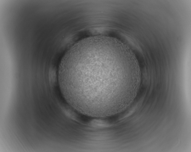 X0000115380699200911101306