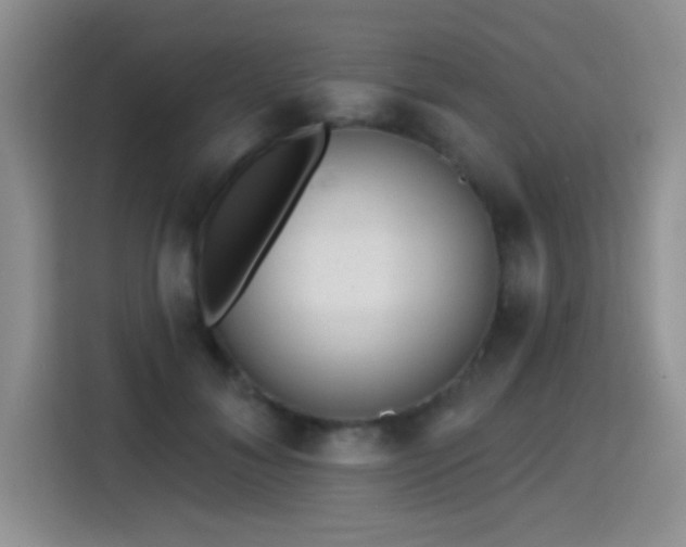 X0000115380700200911101306
