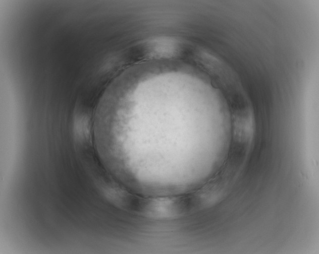 X0000115380701200911101306